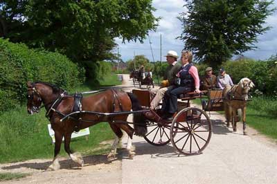 Nigel and Karen Ward